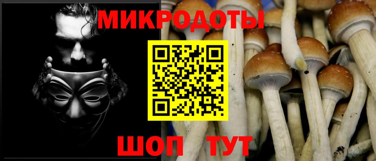 Псилоцибиновые грибы Psilocybine cubensis Воронеж